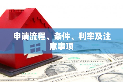 麦寮申请流程、条件、利率及注意事项