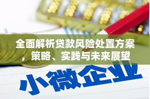 麦寮全面解析贷款风险处置方案，策略、实践与未来展望