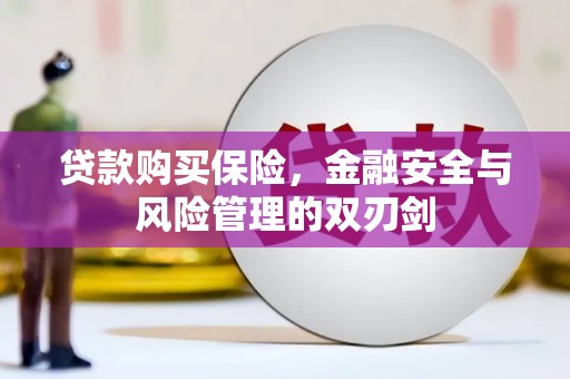 麦寮贷款购买保险，金融安全与风险管理的双刃剑