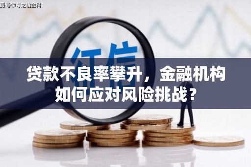麦寮贷款不良率攀升，金融机构如何应对风险挑战？