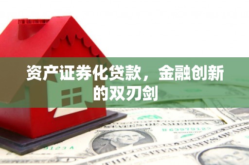 麦寮资产证券化贷款，金融创新的双刃剑