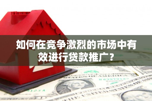 麦寮如何在竞争激烈的市场中有效进行贷款推广？