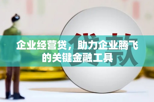麦寮企业经营贷，助力企业腾飞的关键金融工具