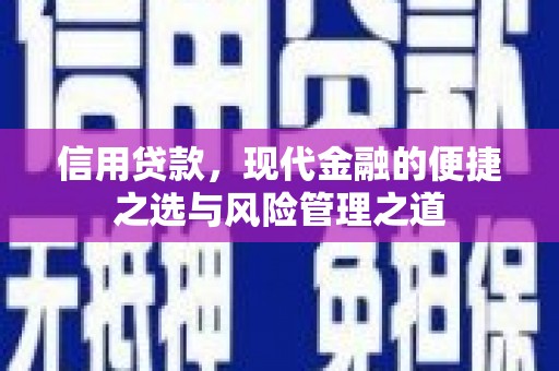 麦寮信用贷款，现代金融的便捷之选与风险管理之道