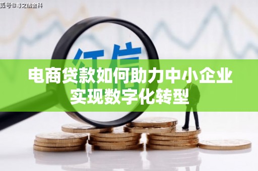 麦寮电商贷款如何助力中小企业实现数字化转型
