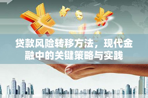 麦寮贷款风险转移方法，现代金融中的关键策略与实践