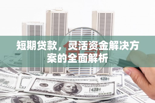 麦寮短期贷款，灵活资金解决方案的全面解析