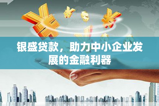 麦寮银盛贷款，助力中小企业发展的金融利器