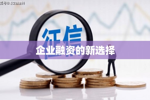 麦寮企业融资的新选择