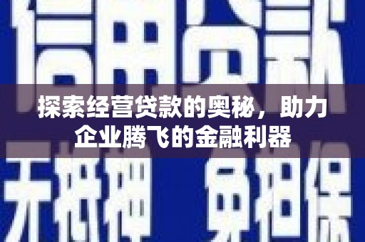 麦寮探索经营贷款的奥秘，助力企业腾飞的金融利器
