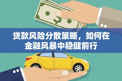 麦寮贷款风险分散策略，如何在金融风暴中稳健前行