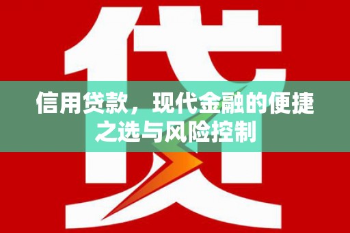 麦寮信用贷款，现代金融的便捷之选与风险控制