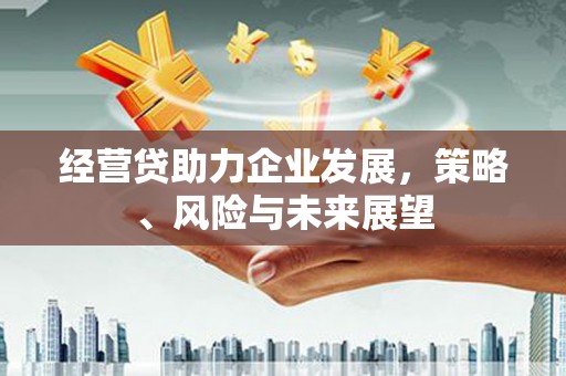 麦寮经营贷助力企业发展，策略、风险与未来展望