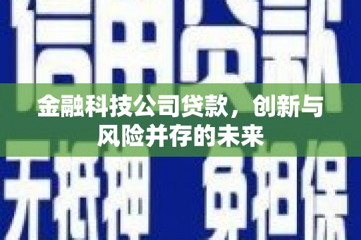 麦寮金融科技公司贷款，创新与风险并存的未来