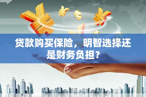 麦寮贷款购买保险，明智选择还是财务负担？