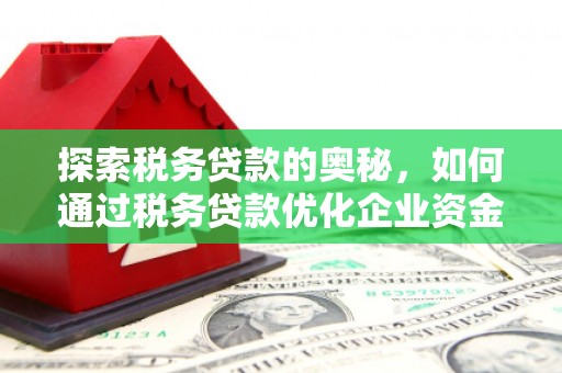 麦寮探索税务贷款的奥秘，如何通过税务贷款优化企业资金流