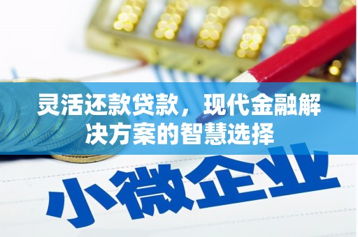 麦寮灵活还款贷款，现代金融解决方案的智慧选择