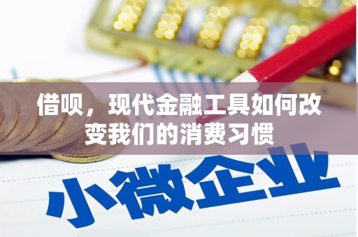 麦寮借呗，现代金融工具如何改变我们的消费习惯