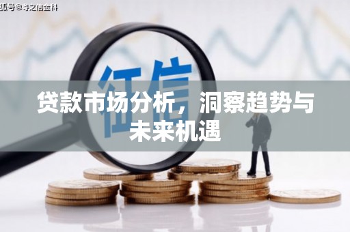 麦寮贷款市场分析，洞察趋势与未来机遇