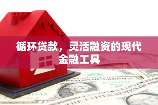 麦寮循环贷款，灵活融资的现代金融工具