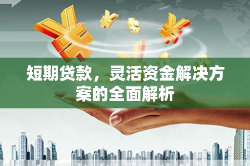 麦寮短期贷款，灵活资金解决方案的全面解析