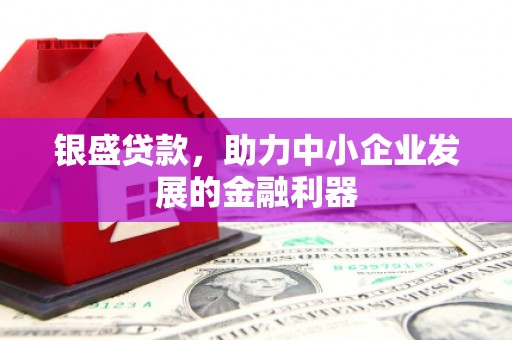 麦寮银盛贷款，助力中小企业发展的金融利器