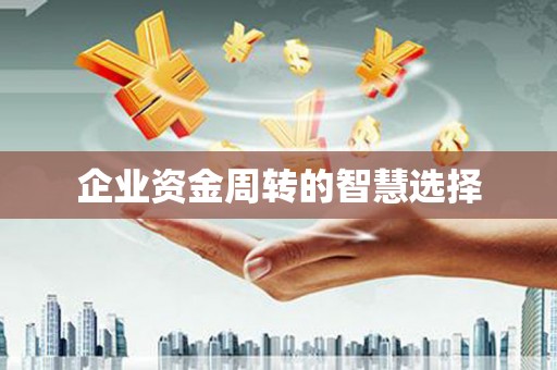 麦寮企业资金周转的智慧选择