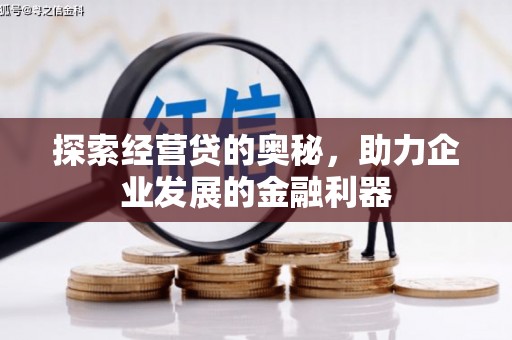 麦寮探索经营贷的奥秘，助力企业发展的金融利器