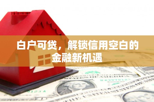 麦寮白户可贷，解锁信用空白的金融新机遇
