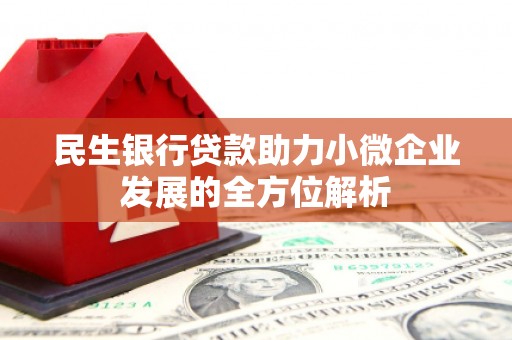 麦寮民生银行贷款助力小微企业发展的全方位解析
