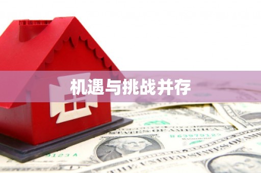 麦寮机遇与挑战并存