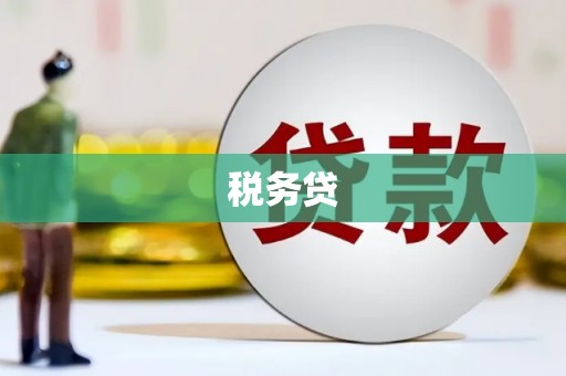 麦寮税务贷
