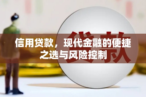 麦寮信用贷款，现代金融的便捷之选与风险控制