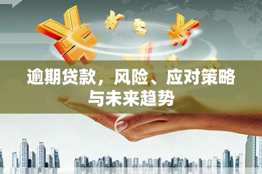 麦寮逾期贷款，风险、应对策略与未来趋势