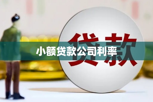 麦寮小额贷款公司利率