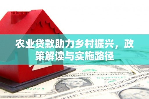 麦寮农业贷款助力乡村振兴，政策解读与实施路径