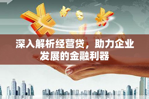 麦寮深入解析经营贷，助力企业发展的金融利器