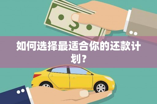 麦寮如何选择最适合你的还款计划？