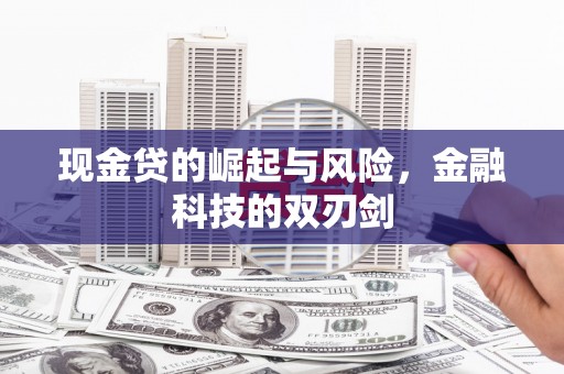 麦寮现金贷的崛起与风险，金融科技的双刃剑