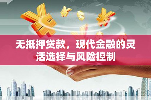 麦寮无抵押贷款，现代金融的灵活选择与风险控制