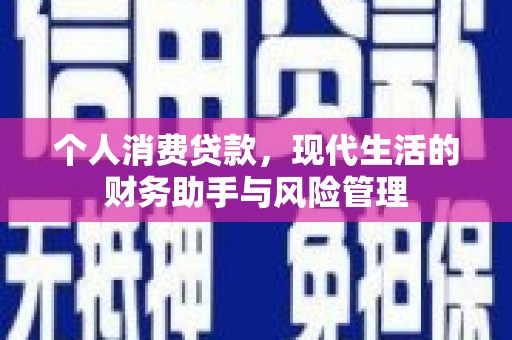 麦寮个人消费贷款，现代生活的财务助手与风险管理