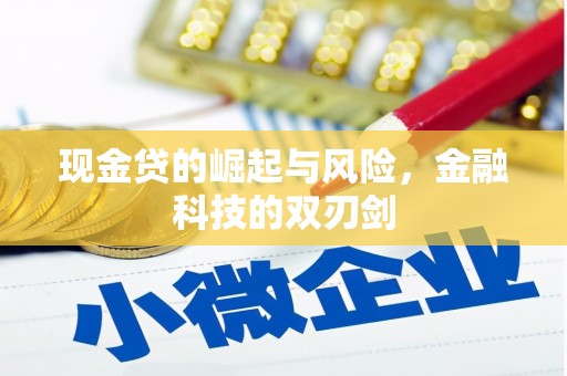 麦寮现金贷的崛起与风险，金融科技的双刃剑