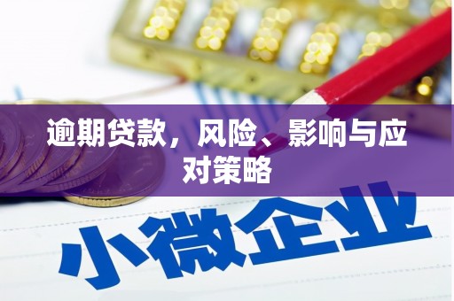 麦寮逾期贷款，风险、影响与应对策略