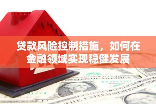 麦寮贷款风险控制措施，如何在金融领域实现稳健发展
