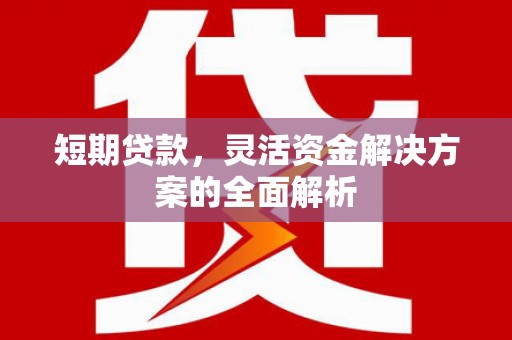 麦寮短期贷款，灵活资金解决方案的全面解析