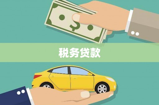 麦寮税务贷款