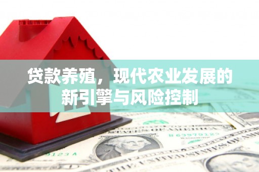 麦寮贷款养殖，现代农业发展的新引擎与风险控制