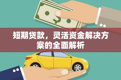 麦寮短期贷款，灵活资金解决方案的全面解析