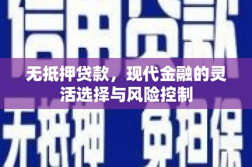 麦寮无抵押贷款，现代金融的灵活选择与风险控制