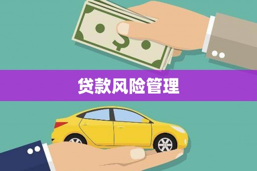 麦寮贷款风险管理